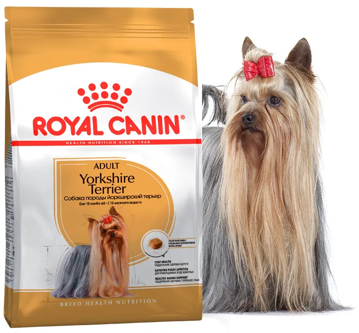 Royal Canin, Yorkshire Terrier Adult 3кг