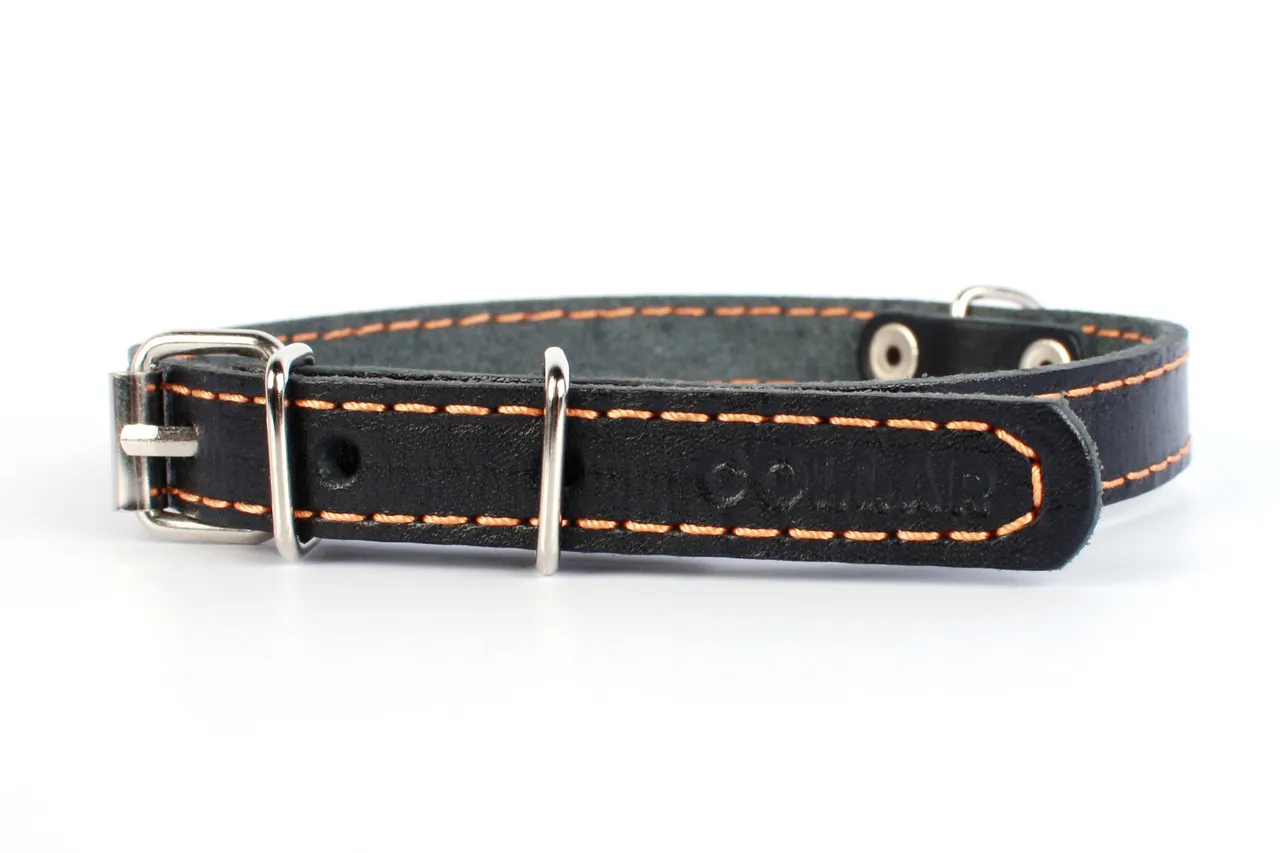 CoLLaR нашийник одинарний (чорний), W 25 мм, L 38-50 см