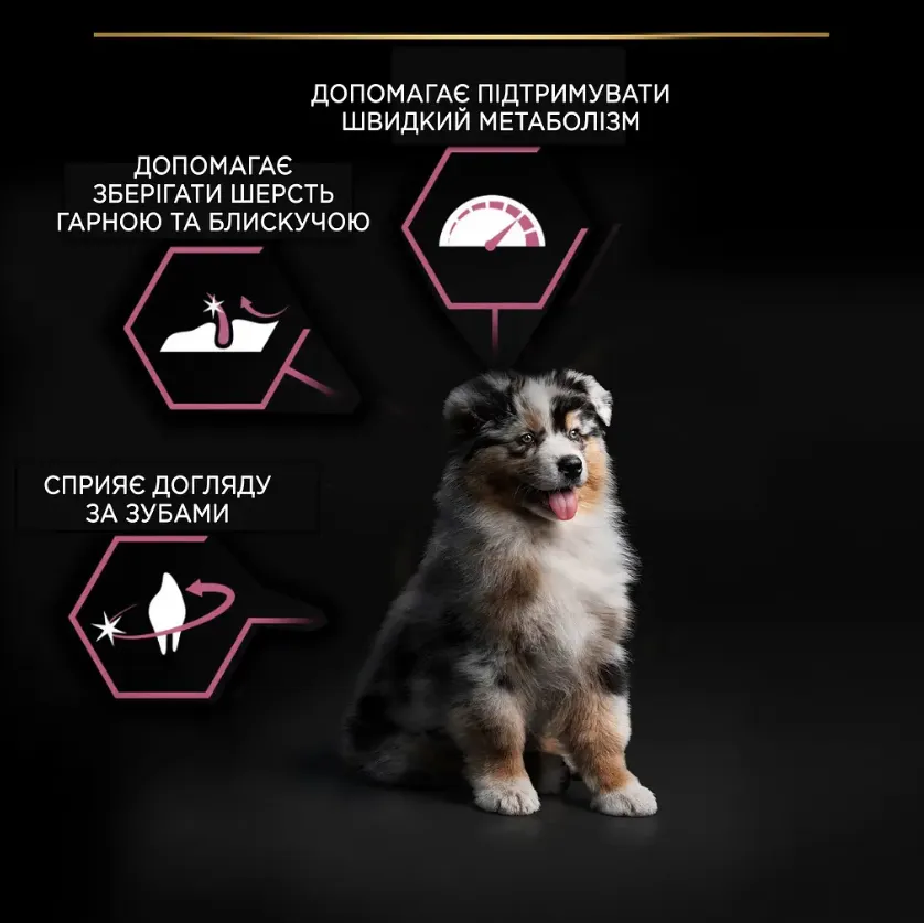 ProPlan Puppy Medium з лососем для цуц. середніх порід з чут. шкірою 1кг