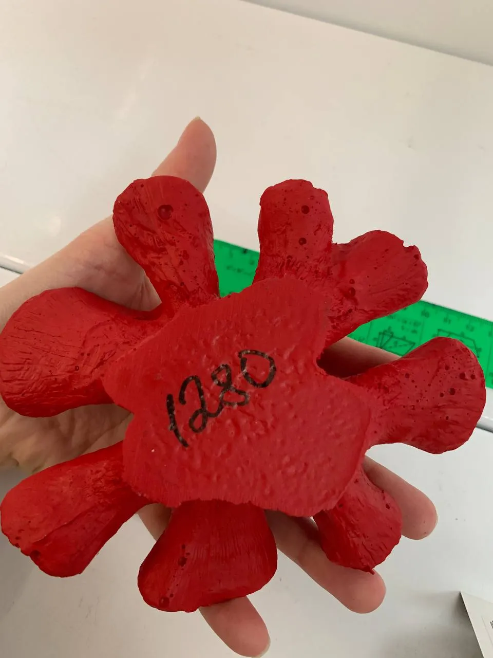 Корал 17*13*5см червоний 1401А