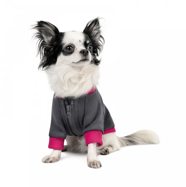 Толстовка Pet Fashion BIM S для собак