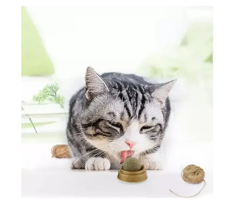 Іграшка М'ячик з котячої м'яти