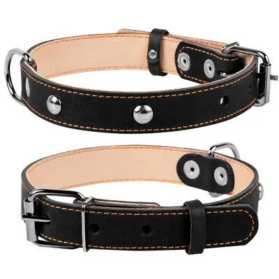 02911 Нашийник Collar подвійний (шир-35мм, довжина 52-64см) чорний