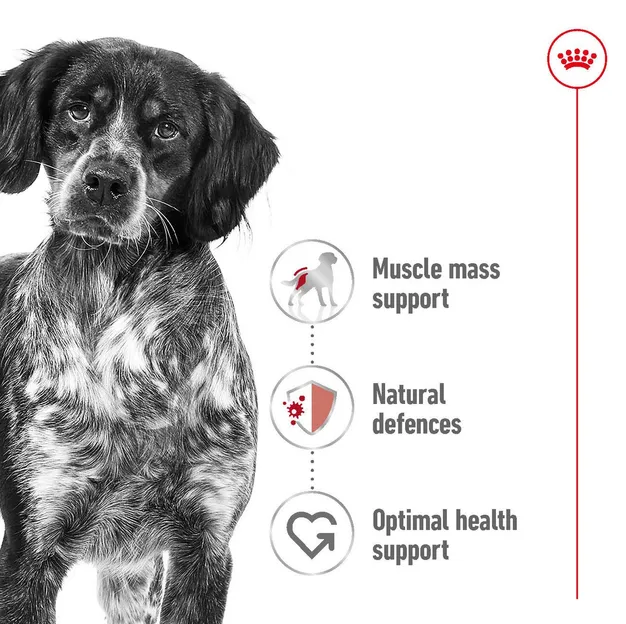 Royal Canin, Medium Adult 1кг