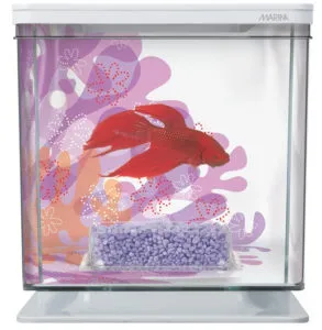 Акваріум для півника Betta Kit Flower 2L