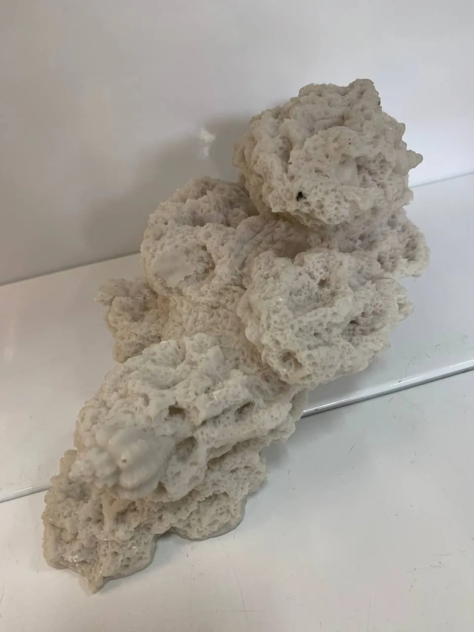 Кораловий риф 29*16*14см білий 1908W