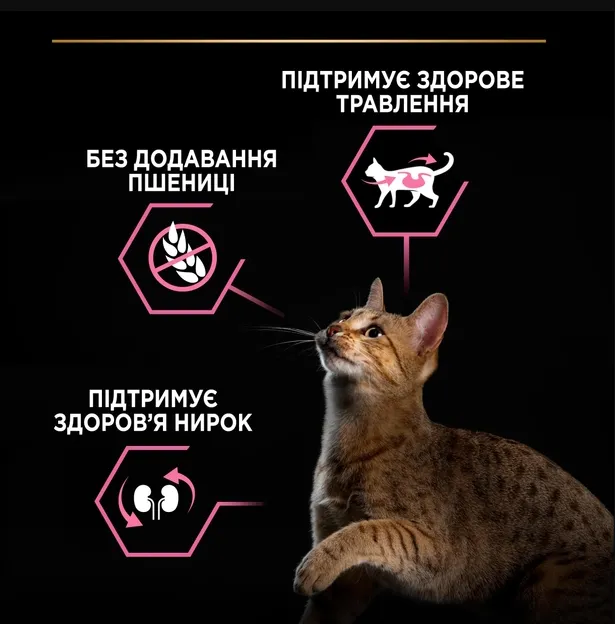 ProPlan Delicate з індичкою для котів з чутливою шкірою 1кг