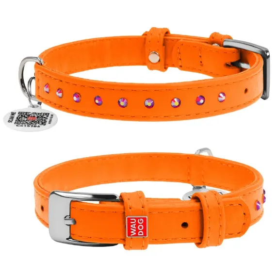 32684 Нашийник WAUDOG Glamour з QR паспортом, з клей. стразами Ш 12мм Д 21-29см помаранчевий