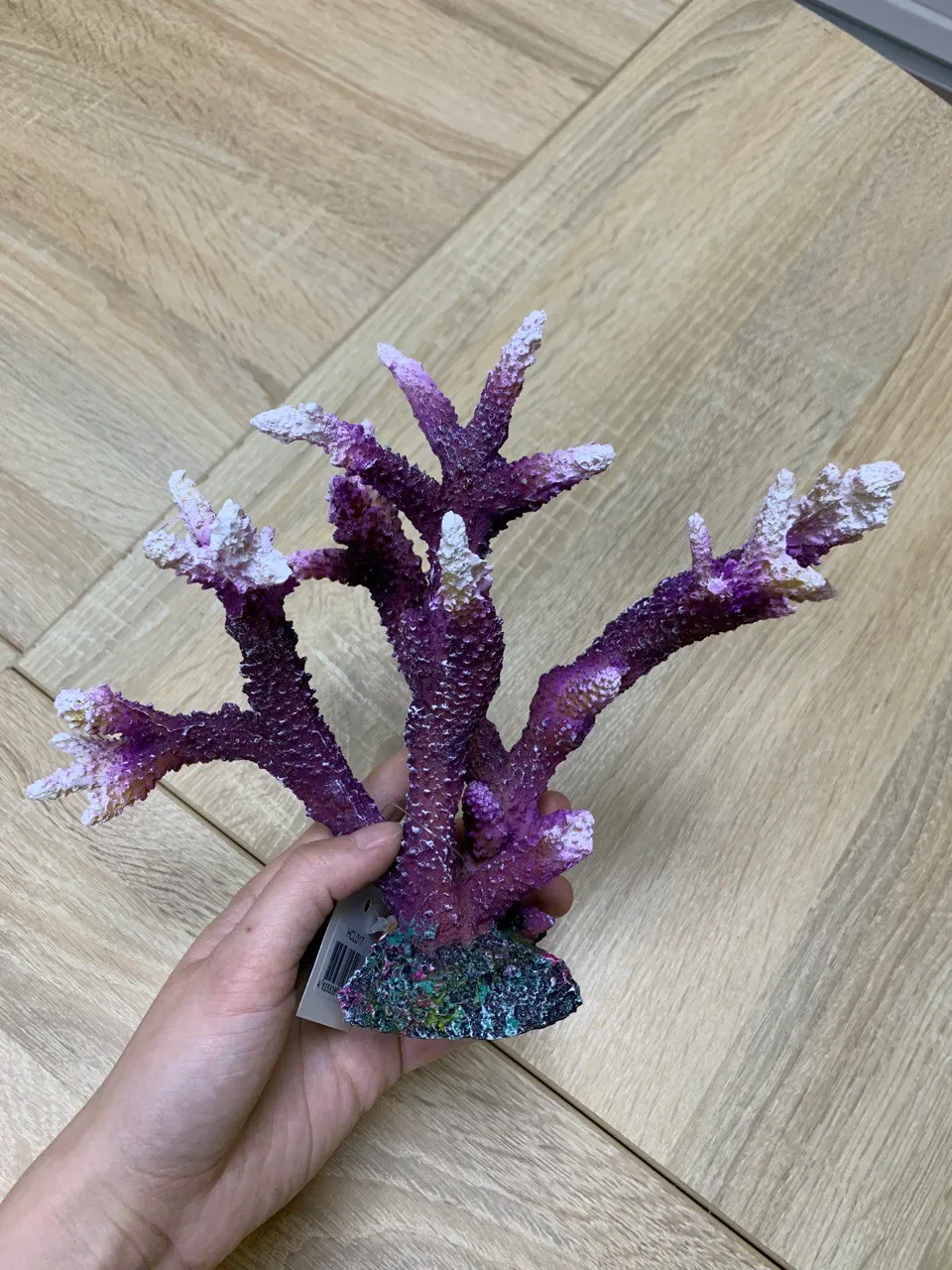 Корал бузковий 25,5х12,5х18,5см, HCL017