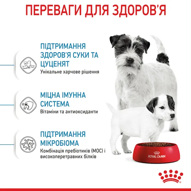 Royal Canine, Mini Starter, 1кг