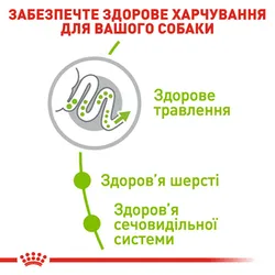 Royal Canin, X-Small Adult дорослого собаки вага до 4 кг від 10 місяців, 1.5кг