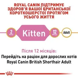 Royal Canin British Shorthair Kitten для кошенят, 400 г