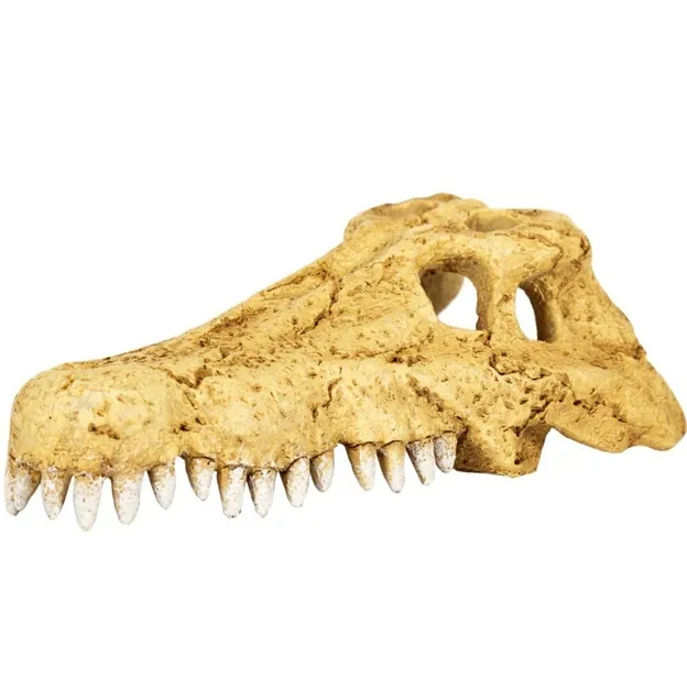 Декоративне укриття Крокодилячий череп Repti-Zoo Crocodile Skull M ERS34S 11*6*4см