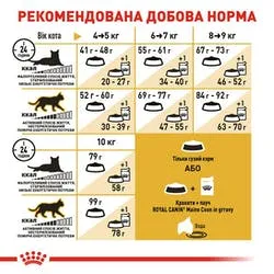 Royal Canin, Maine Coon Adult для котів, 0,400 кг