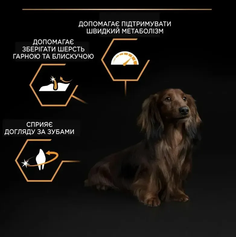 ProPlan 700г Adult Small&Mini З куркою для соб. малих порід
