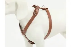 CoLLaR шлея одинарна з повідком для дрібних собак, W 14, А 40-48 см, В 43-51 см