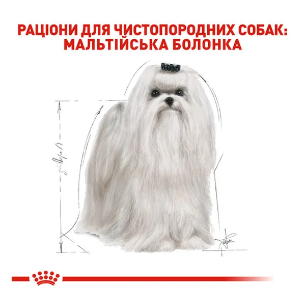 Royal Canin, Maltese Adult 1.5кг