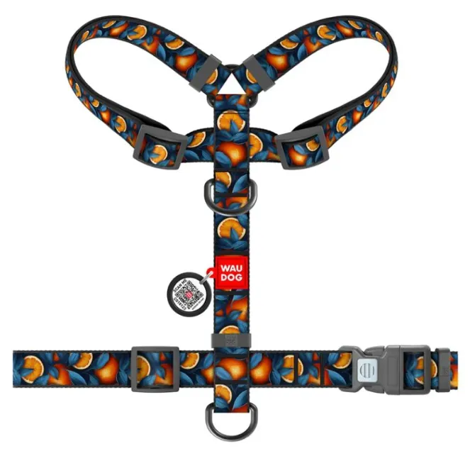 322-4054 Шлея WAUDOG Nylon анатомічна, Н-подібна, з QR паспортом, малюнок "Апельсини", пласт. фастекс L Ш 25мм А 50-90см В 60-100см