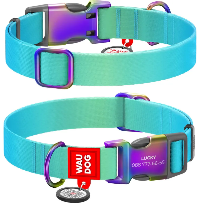 46532 Нашийник WAUDOG Nylon Recycled з QR паспортом, градієнт L Ш 25мм Д 33-49см блакитний