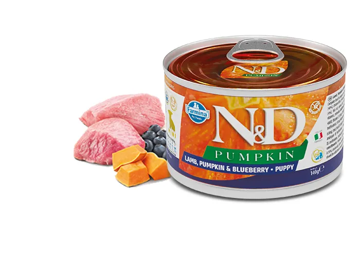 Farmina Dog N&D Grain Free Pumpkin Lamb Puppy Mini з гарбузом, ягням, чорницею 140г 02307