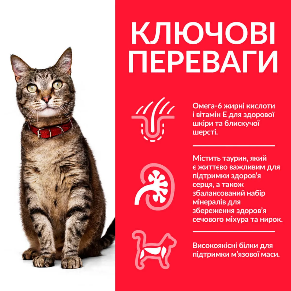 FEL Adult Ch Доросла кішка/курка 1кг 604063