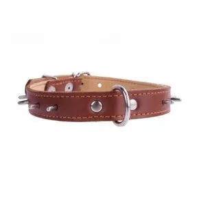 Нашийник "CoLLaR" подвійний з шипами (шир.25мм, довж.38-50см) коричневий