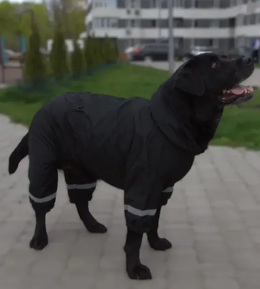 Дощовик для великих собак чорний 10 MB-6/10