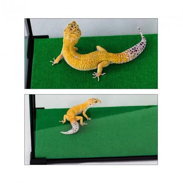 Килимок-субстрат Repti-Zoo Carpet Mat 45x45 EC01