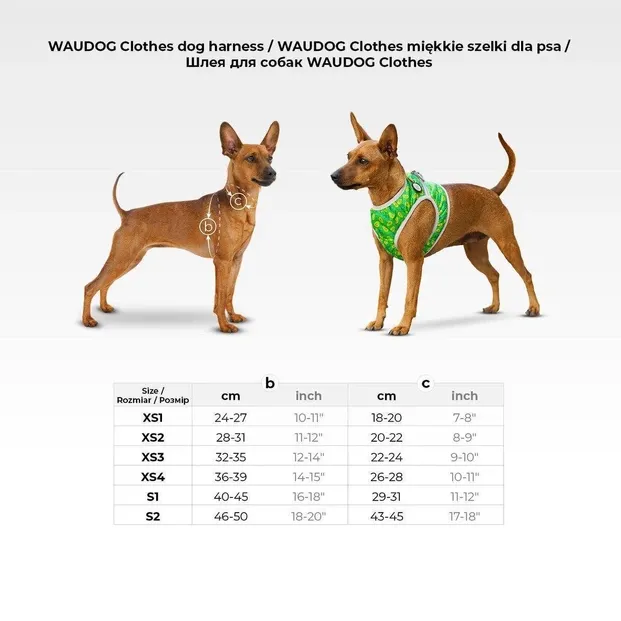 2905 Шлея WAUDOG Clothes м'яка, з QR паспортом, малюнок "ВАУ" S2 В 46-50 С 43-45см