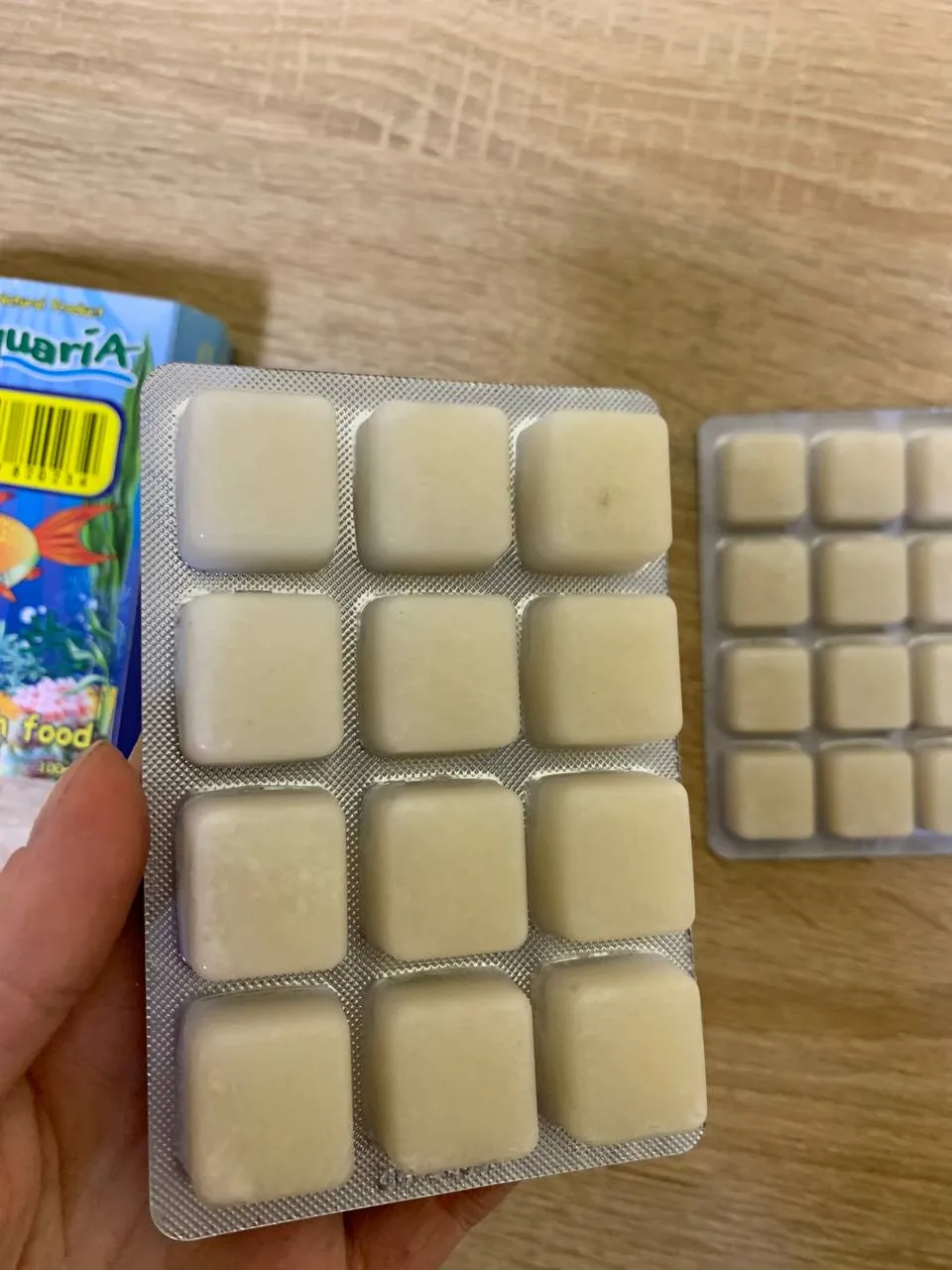 Молюск, блістер