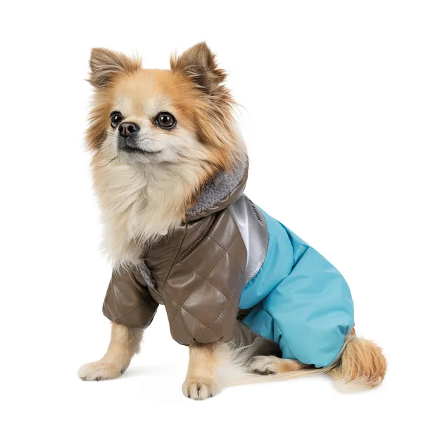 Комбінезон Pet Fashion Сharlie S для собак Різнокольоровий