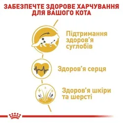 Роял Канин, Maincoon Adult, 2кг сухий корм для дорослих котів породи мейн-кун.