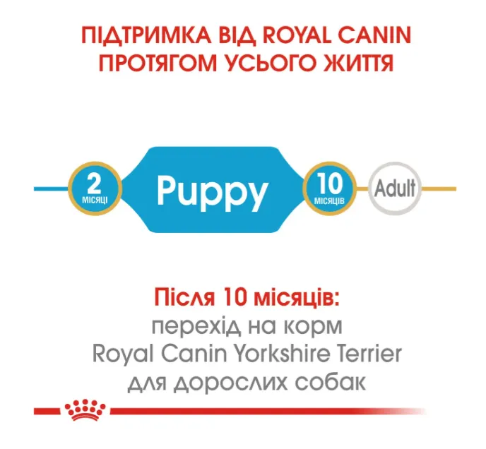 Royal Canin, Yorkshire Terrier Puppy 1.2+300кг