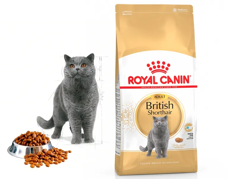 Royal Canin Adult British Shorthair, для британських короткошерстих кішок, 1 кг