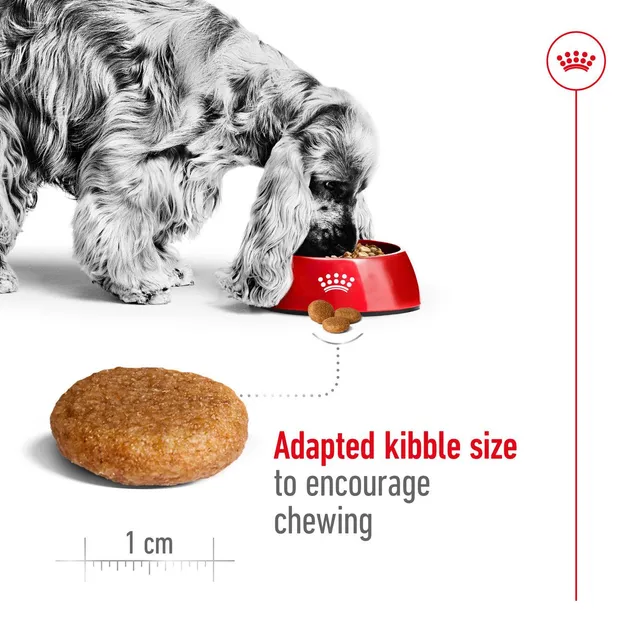 Royal Canin, Medium Adult 1кг