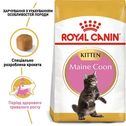 Роял Канин, Maincoon Kitten, 4кг сухий корм для кошенят породи мейн-кун віком до 15 місяців