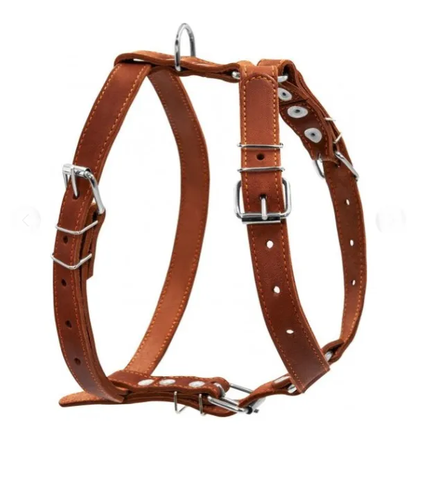 06386 Шлея "CoLLaR" одинарна для середніх собак Ш 25мм, А:49-68см, В:68-80см коричнева