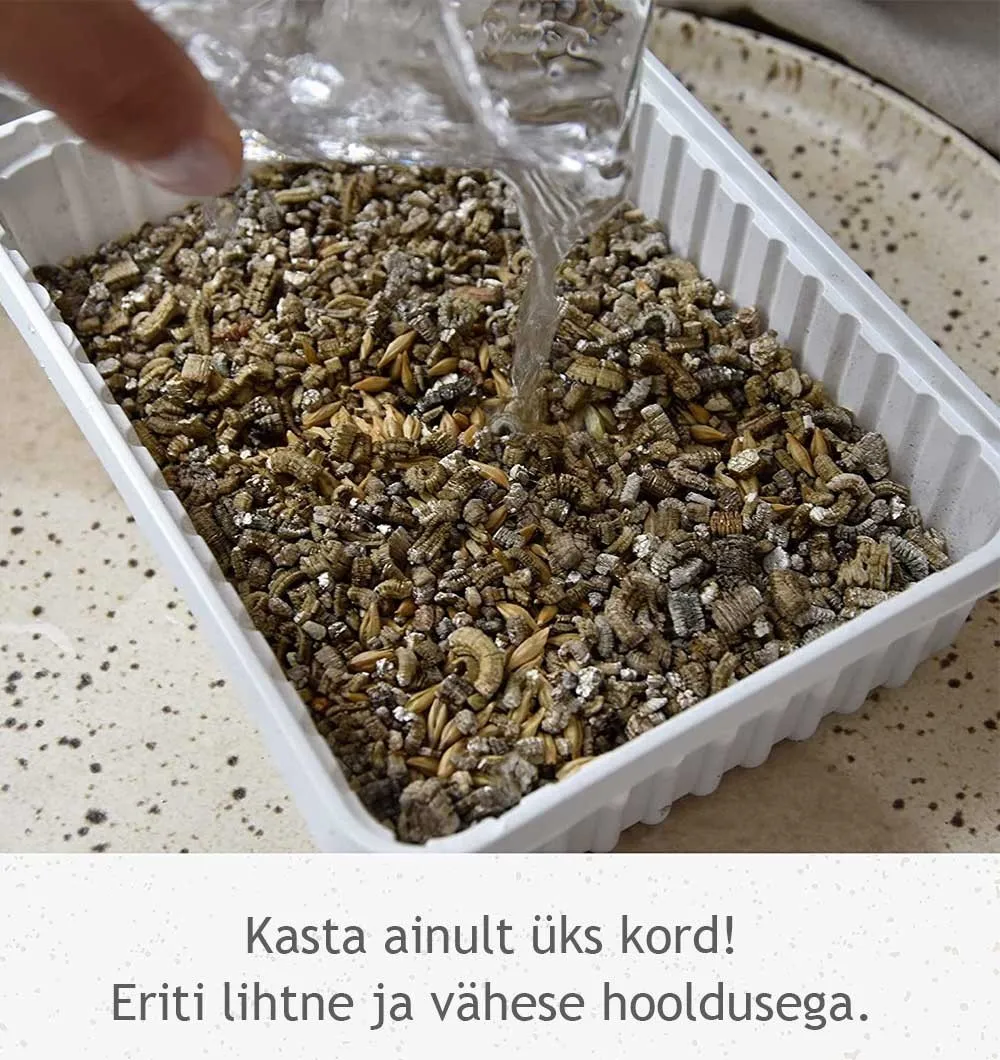 Трава для котів GimCat Soft Gras 100г - фото 4, характеристики, купити в «Живий Куток»