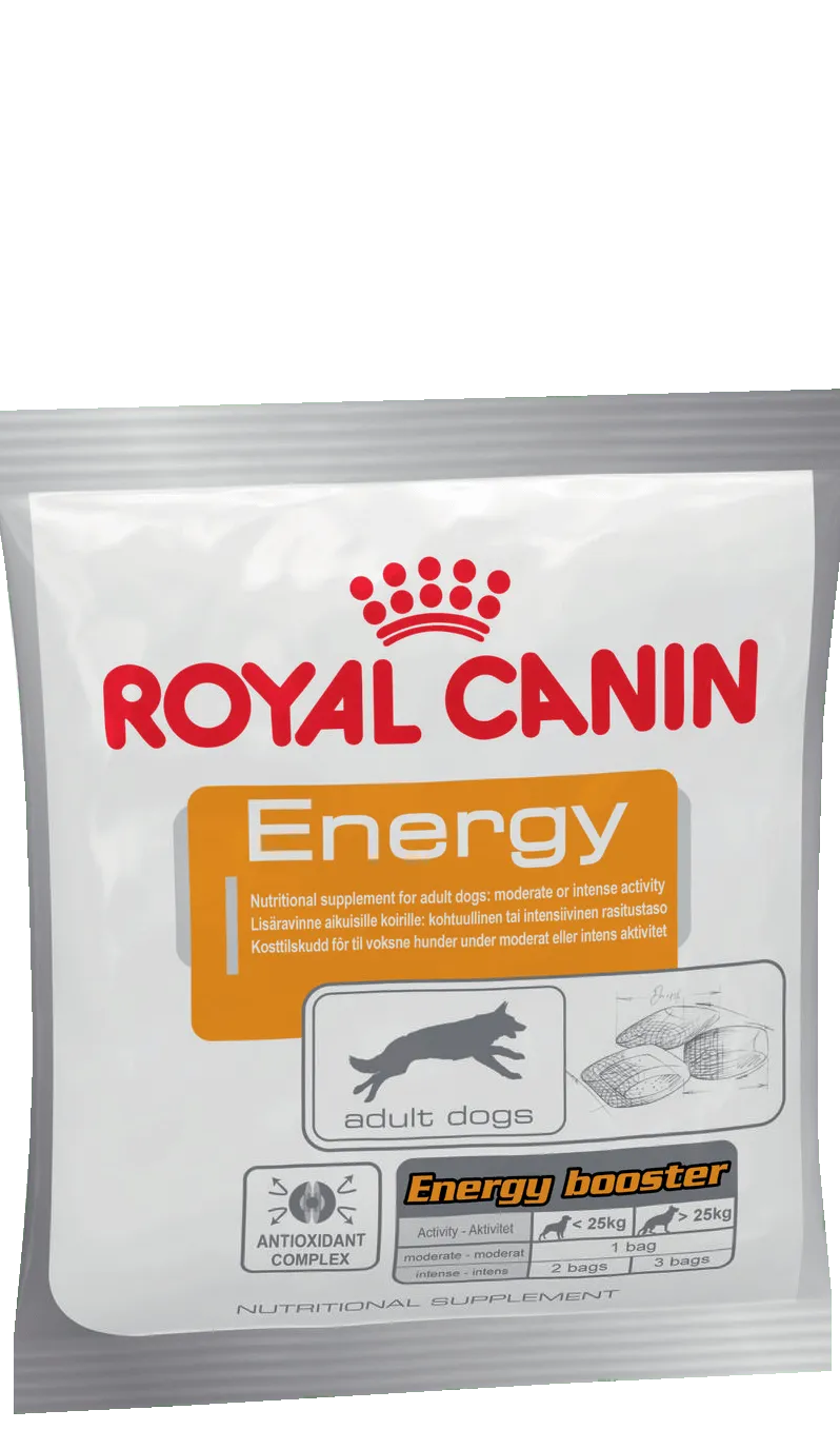 Royal Canin Energy для собак, 50 г