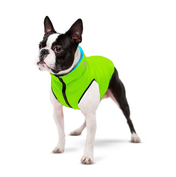 Двостороння куртка AiryVest XS22 для собак, салатово-блакитна