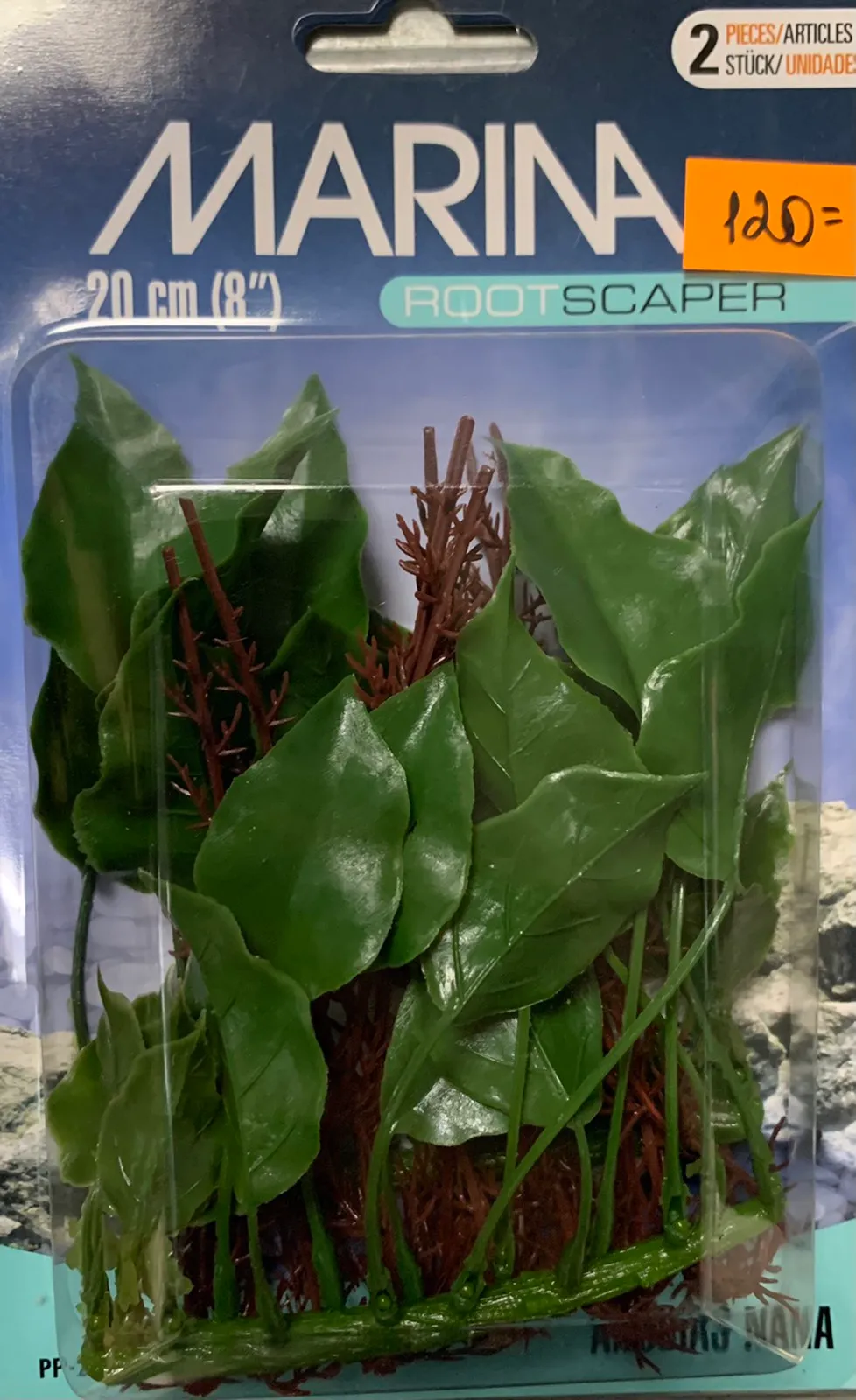 Marina ANUBIAS rootsc. 20см