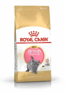 Royal Canin British Shorthair Kitten для кошенят, 400 г