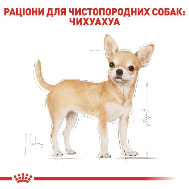 Royal Canin, Chihuahua Adult, для дорослих собак породи чихуахуа віком від 8 місяців, 3кг