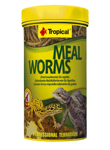 Корм для м'ясоїдних і всеїдних рептилій Meal Worms 250ml/30g
