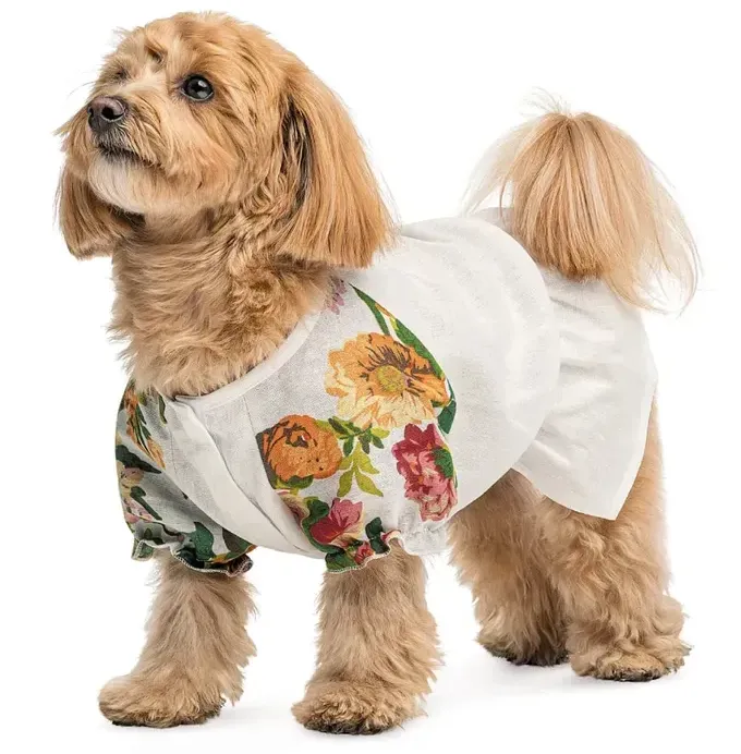 Сорочка Pet Fashion Соломія для собак дівчинка S Бежева