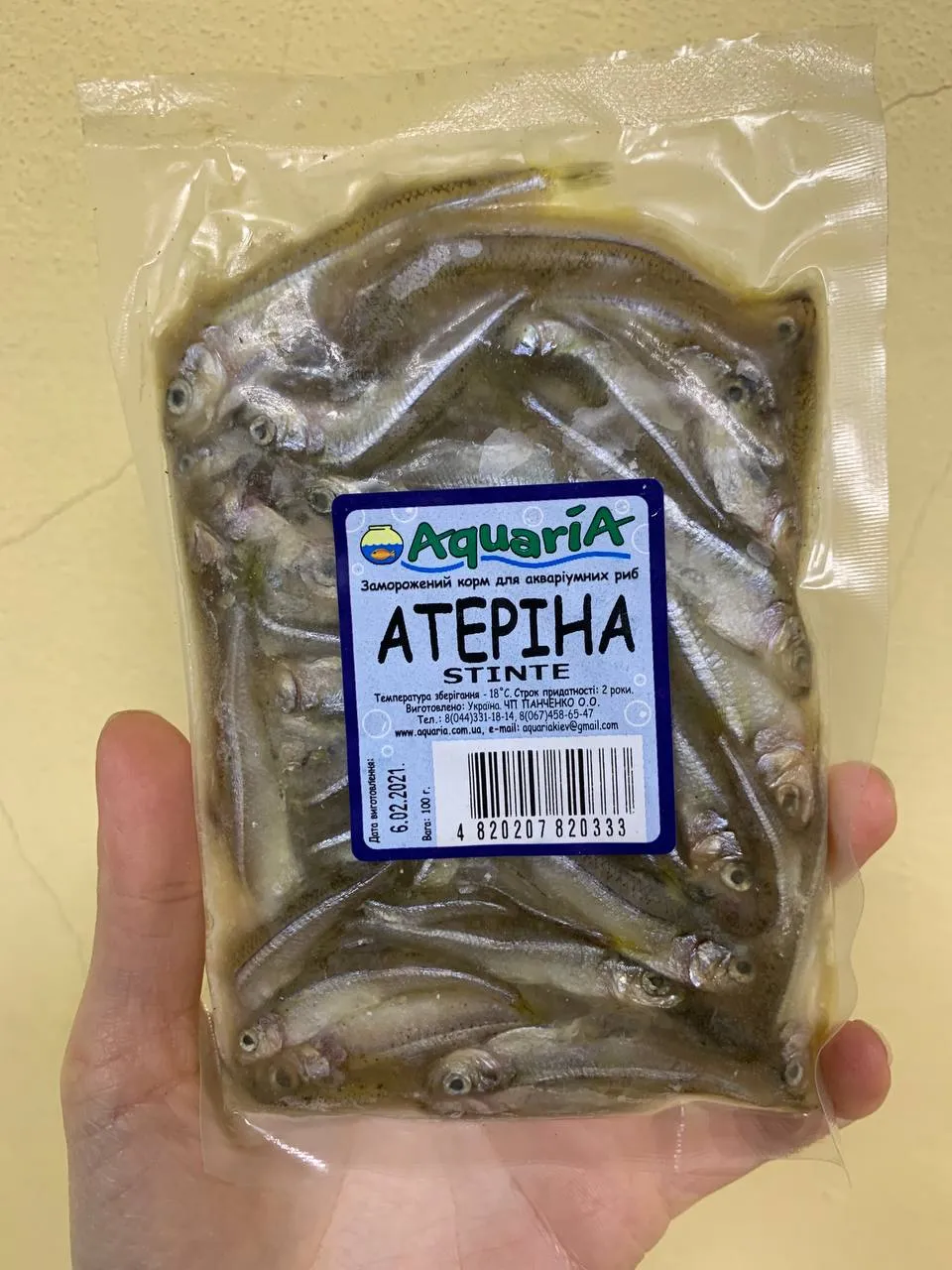 Атерина, ваккум