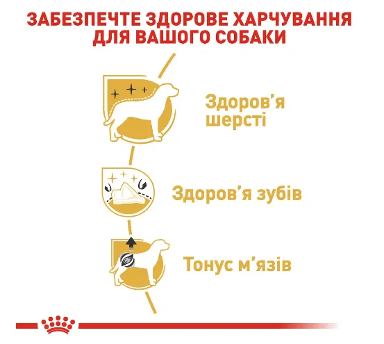 Royal Canin, Poodle Adult 0.5кг
