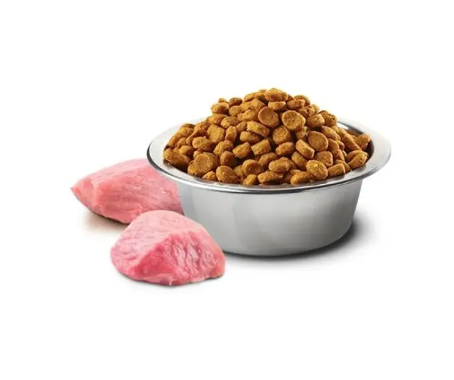 Farmina Dog N&D Grain Free Pumpkin Lamb&Blueberry Puppy Mini з ягням та чорницею для малих порід 0.8kg 33185