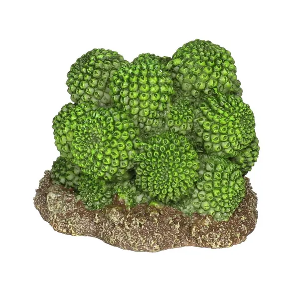 Декорація штучний кактус Hobby Cactus Atacama 7*6*5см 37018