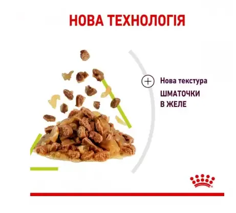 Royal Canin, Sensory Smell, желе 0.085кг